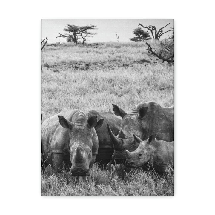 Rhino Family in Black and White - Canvas