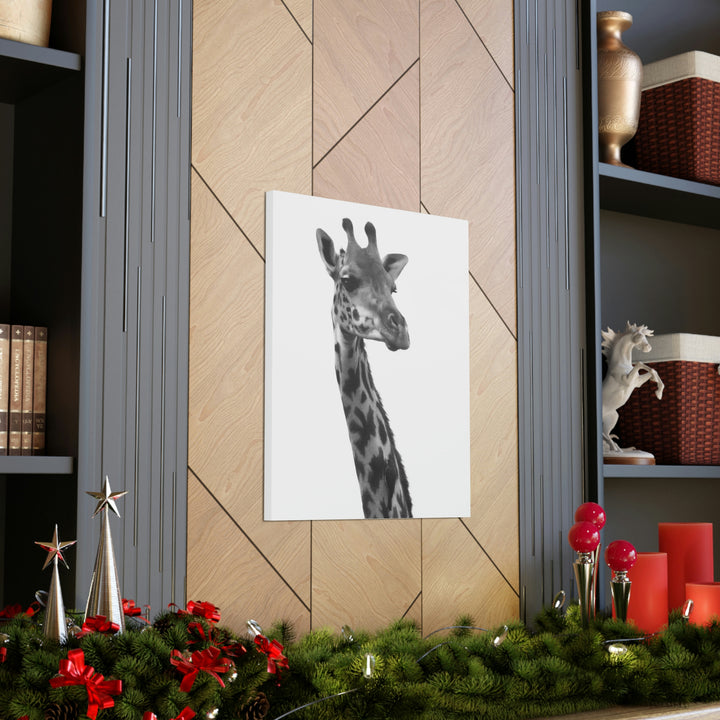 Giraffe Portrait in Black and White  - Canvas