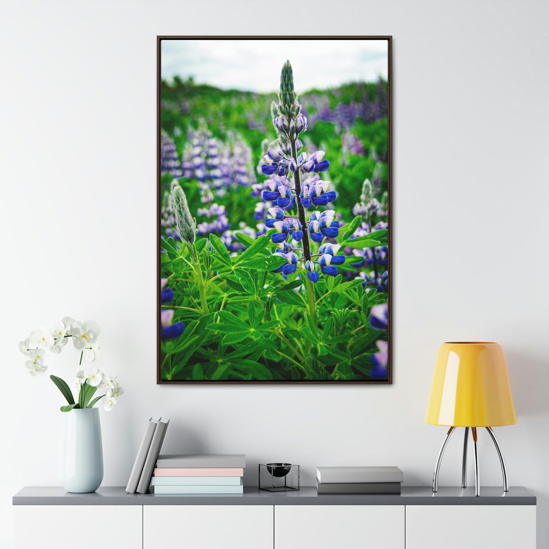 Glowing Lupin - Canvas with Frame