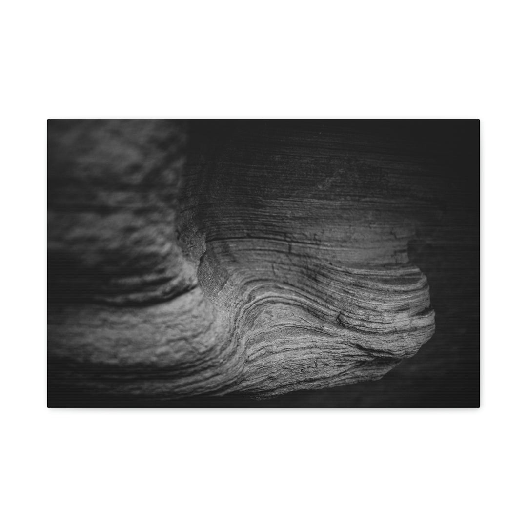 Sedimentary Rock Curves in Black and White - Canvas