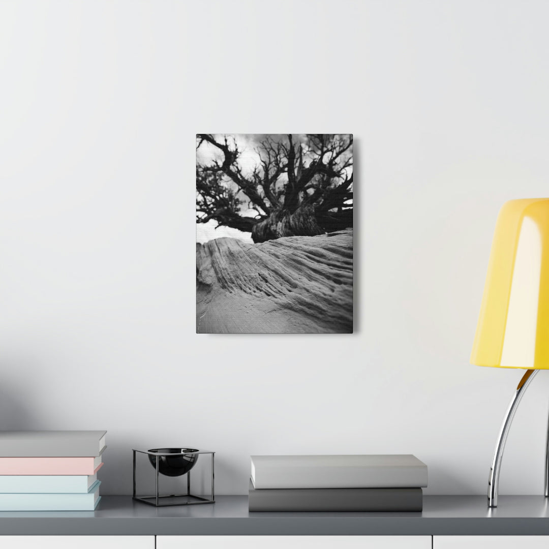 Desert Reach in Black and White - Canvas