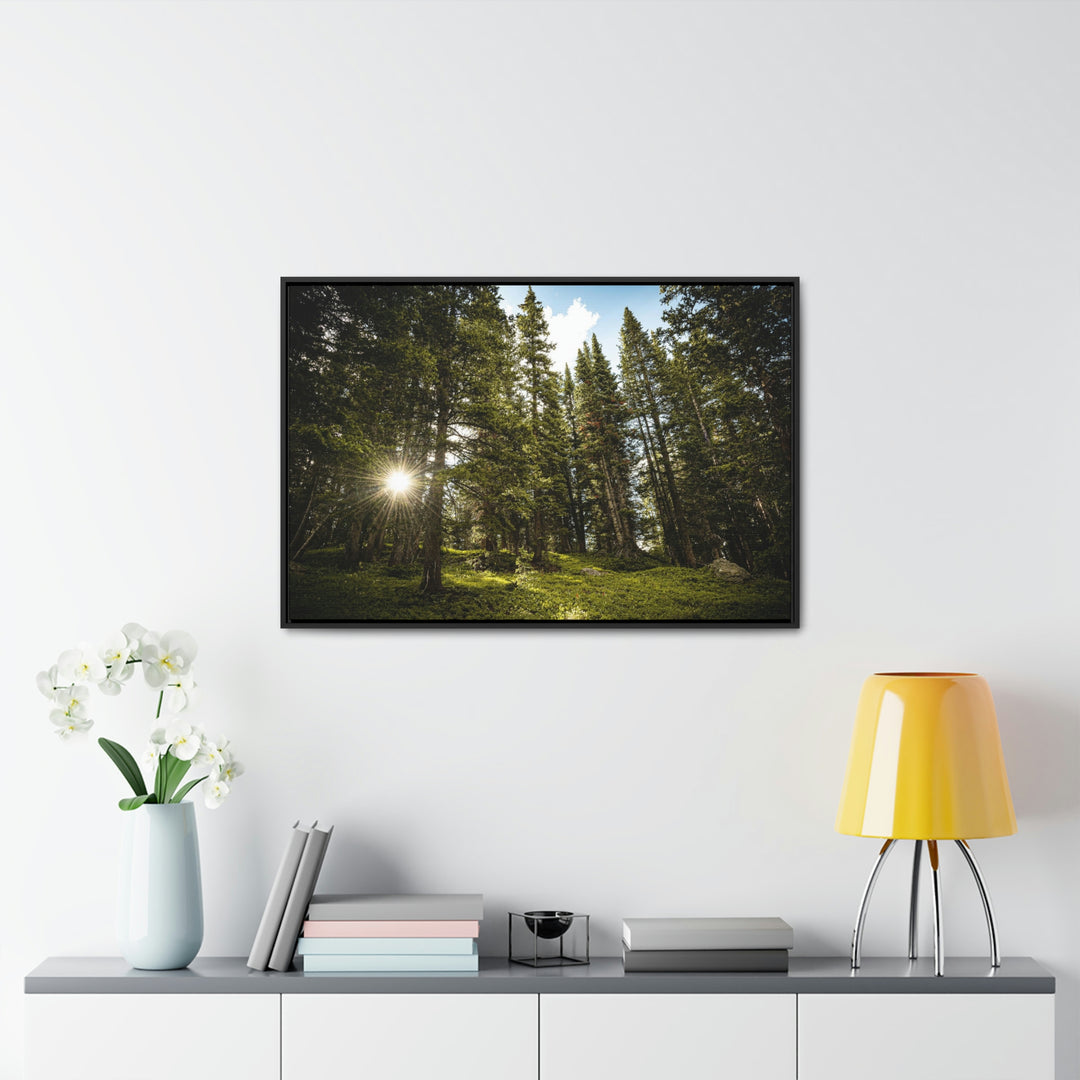 Forest Light - Canvas with Frame