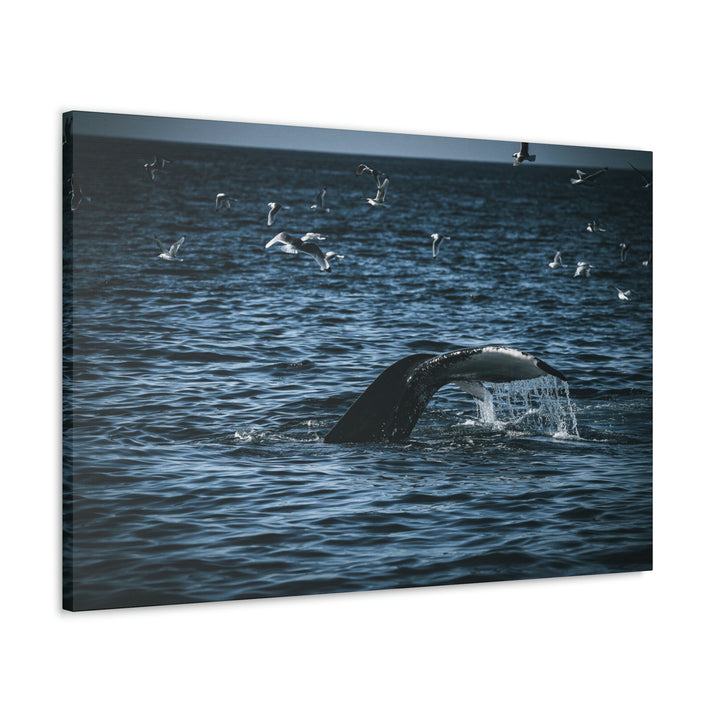 Feeding Tail - Canvas