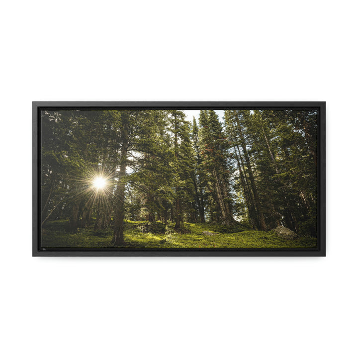 Forest Light - Canvas with Frame