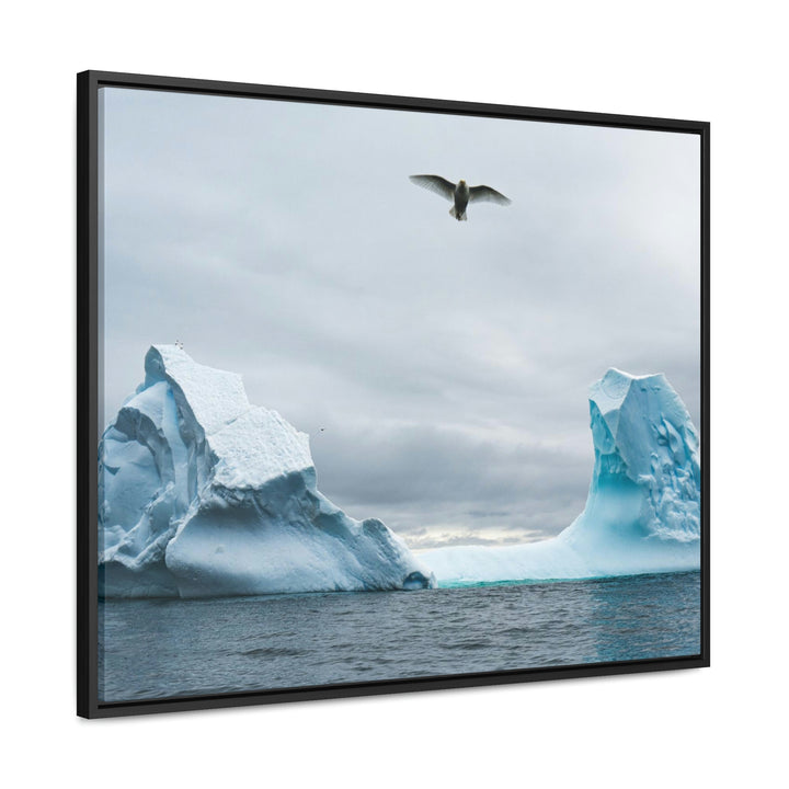 Antarctic Flight - Canvas with Frame