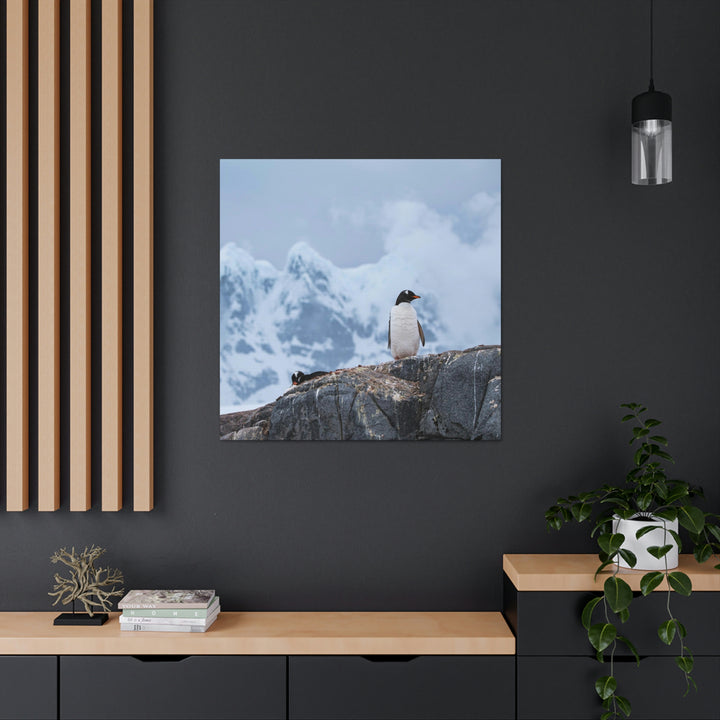 Poised Penguin - Canvas