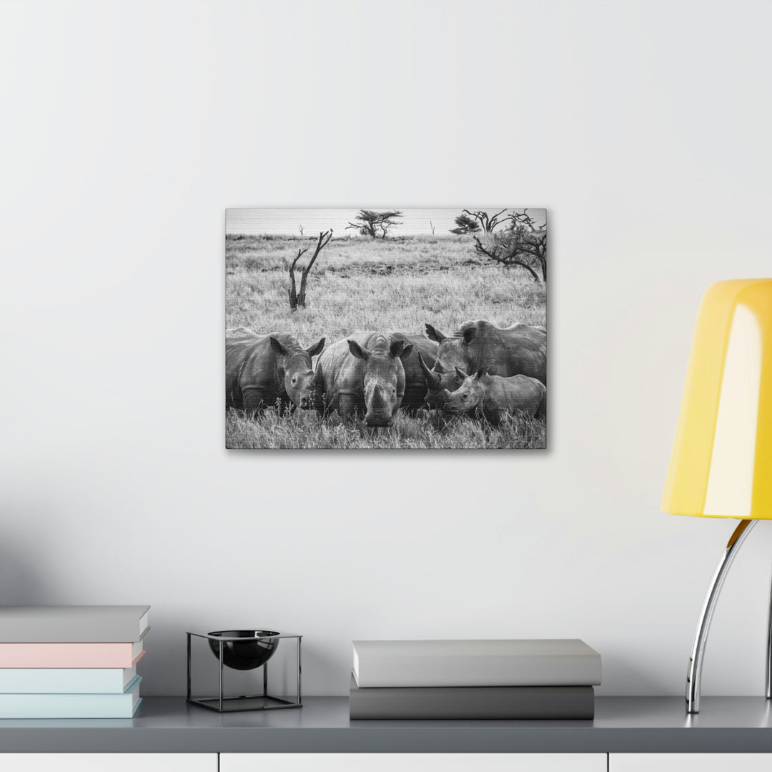 Rhino Family in Black and White - Canvas