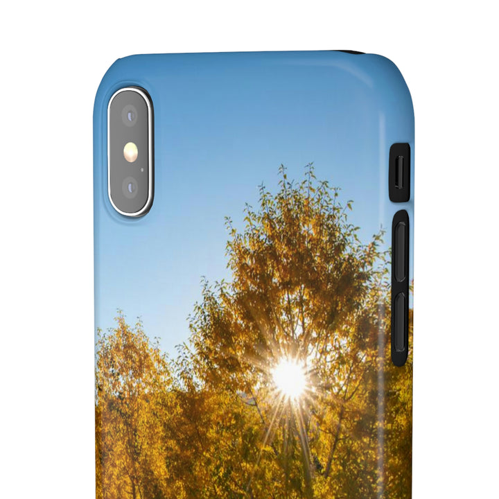 Sun Through the Aspens - Phone Case