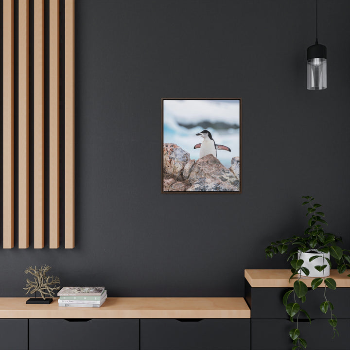 Stretched Penguin - Canvas with Frame