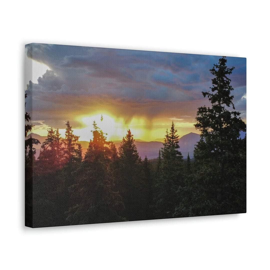 Rainy Sunset Through the Trees - Canvas