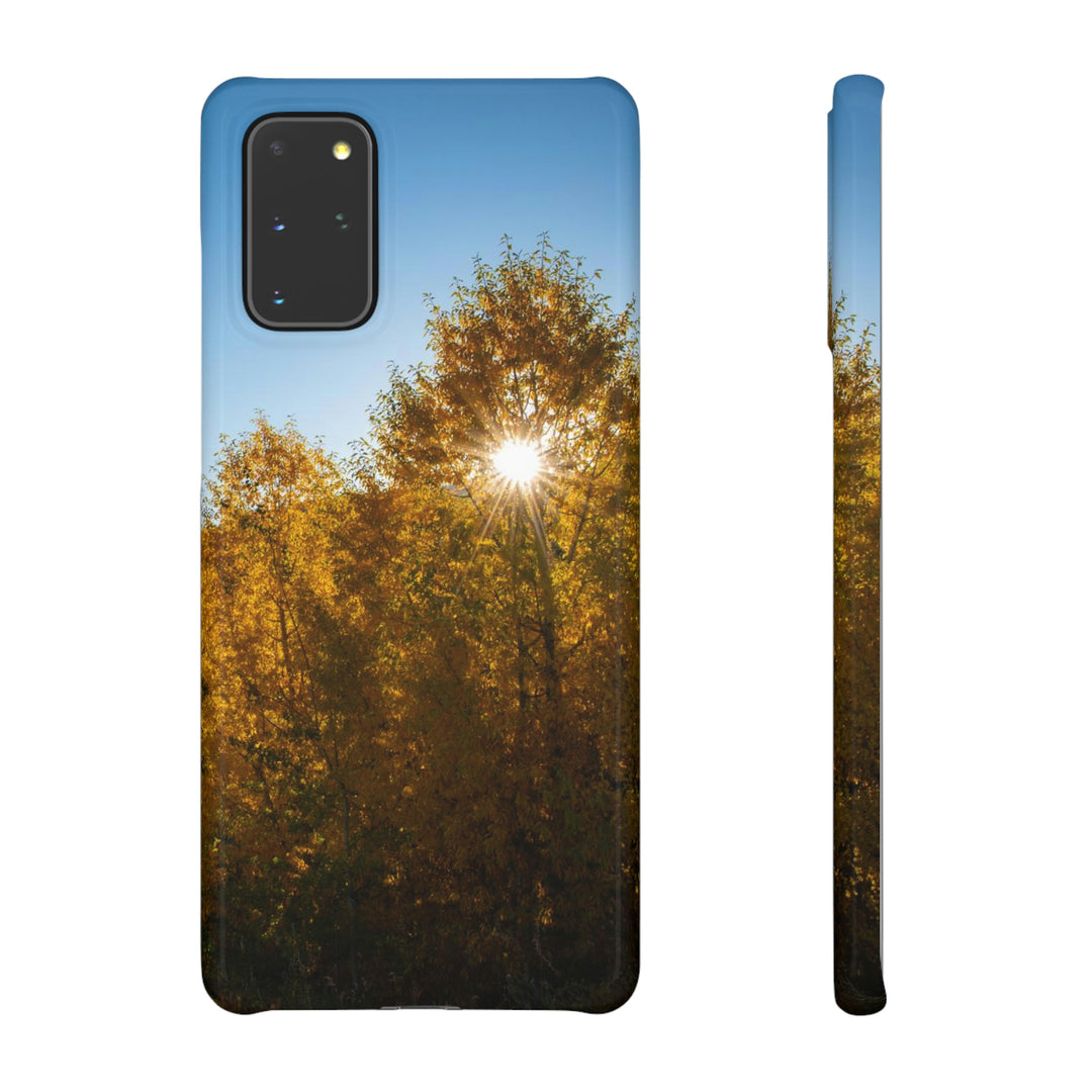 Sun Through the Aspens - Phone Case