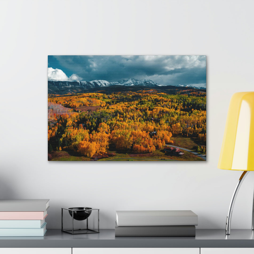 Golds of Autumn - Canvas