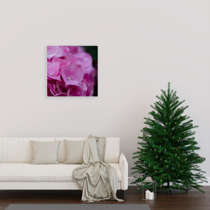 Pink Hydrangea Detail - Canvas