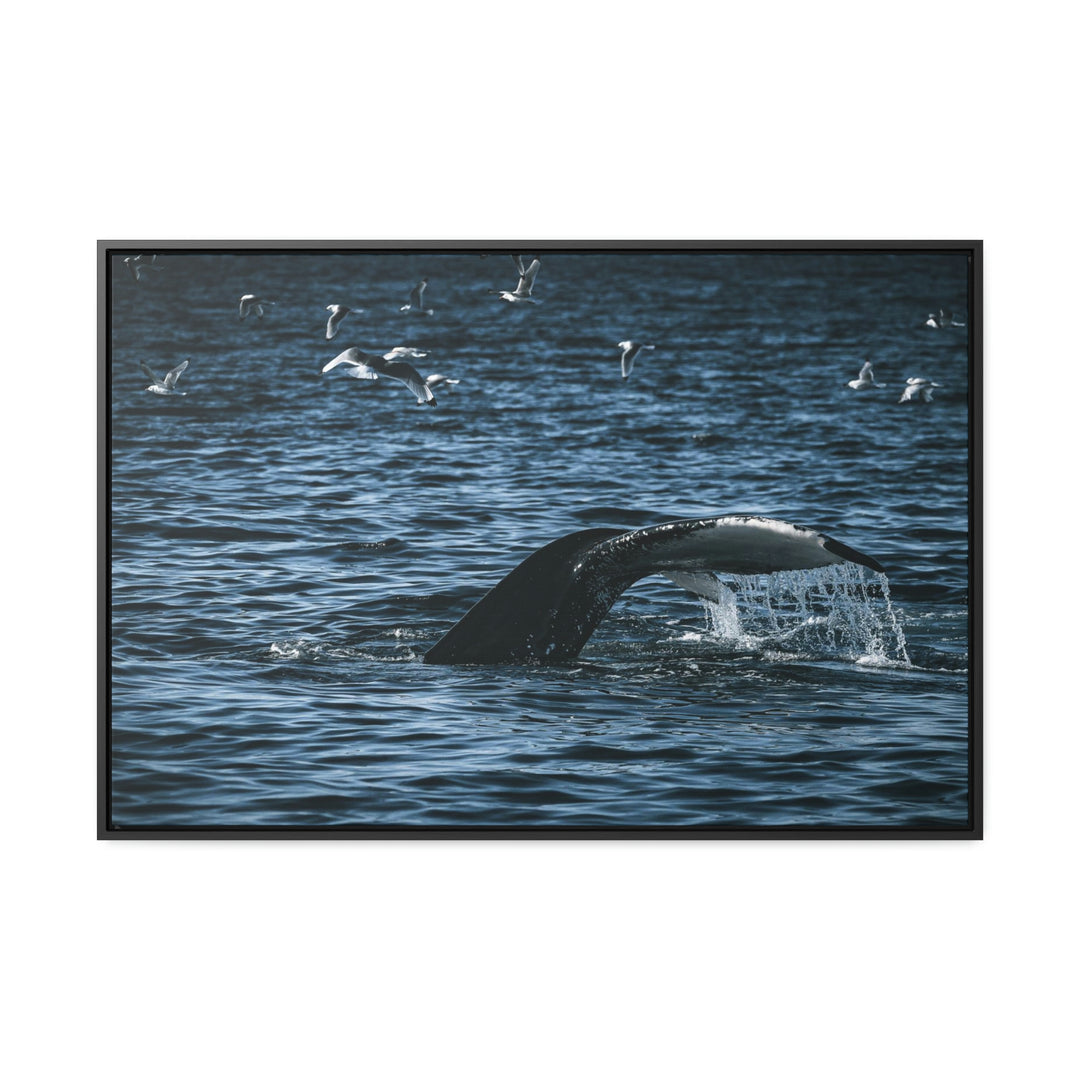 Feeding Tail - Canvas with Frame