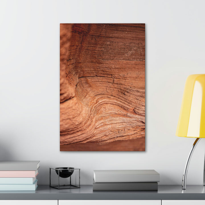 Sedimentary Rock Curves - Canvas