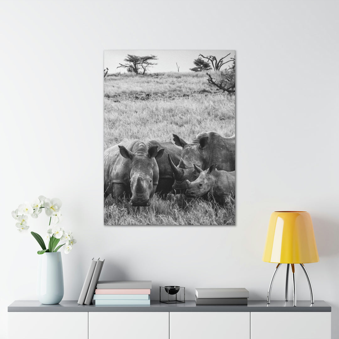 Rhino Family in Black and White - Canvas