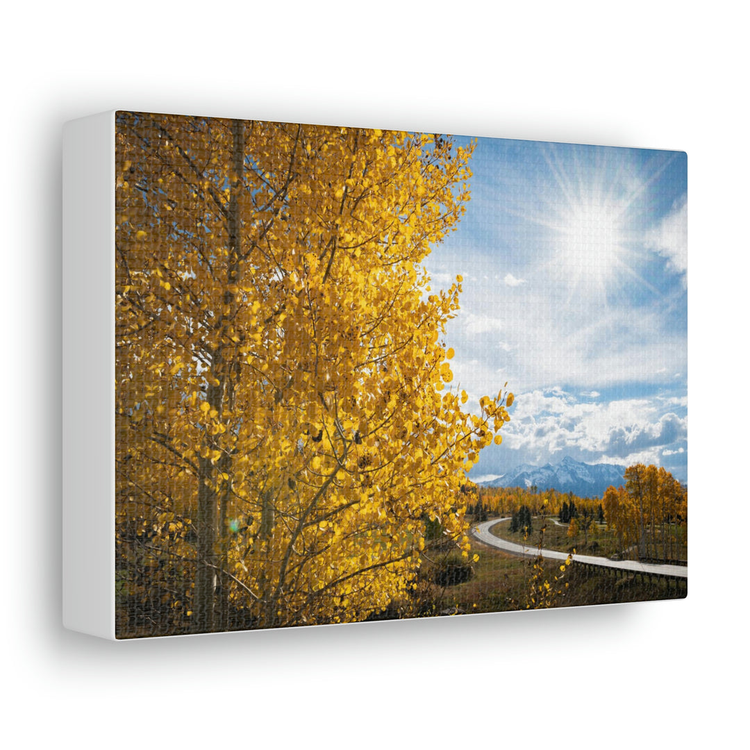 Golden Sunshine - Canvas