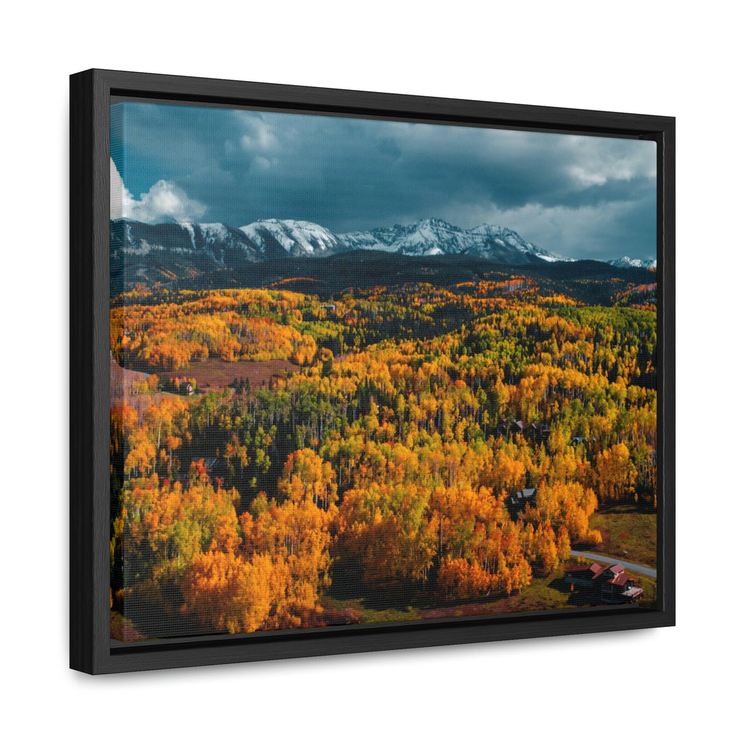 Golds of Autumn - Canvas with Frame