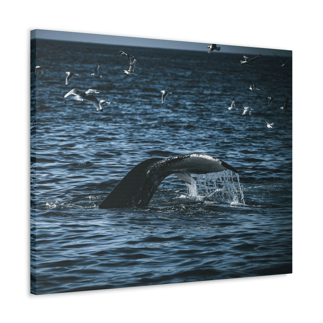 Feeding Tail - Canvas