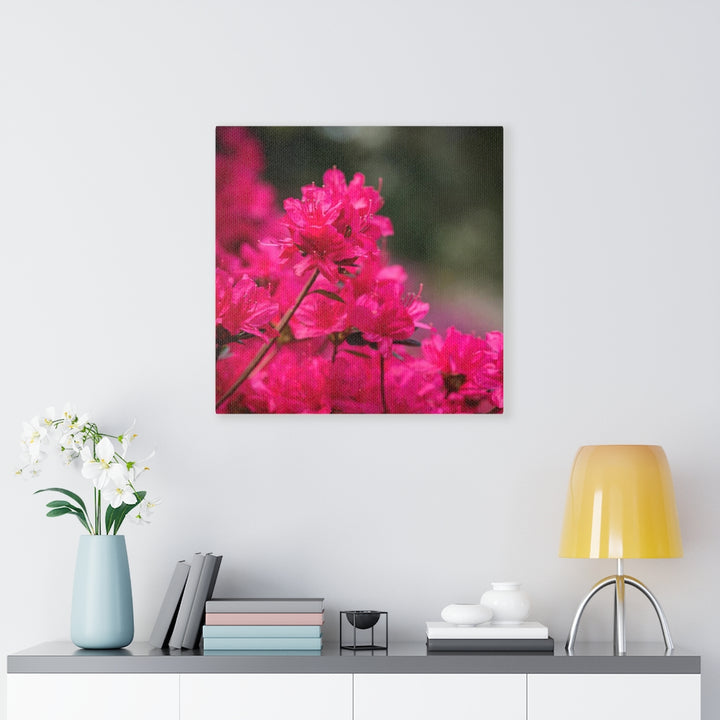 Full Bloom - Canvas