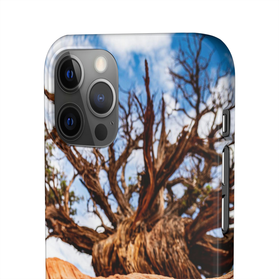 Desert Reach - Phone Case