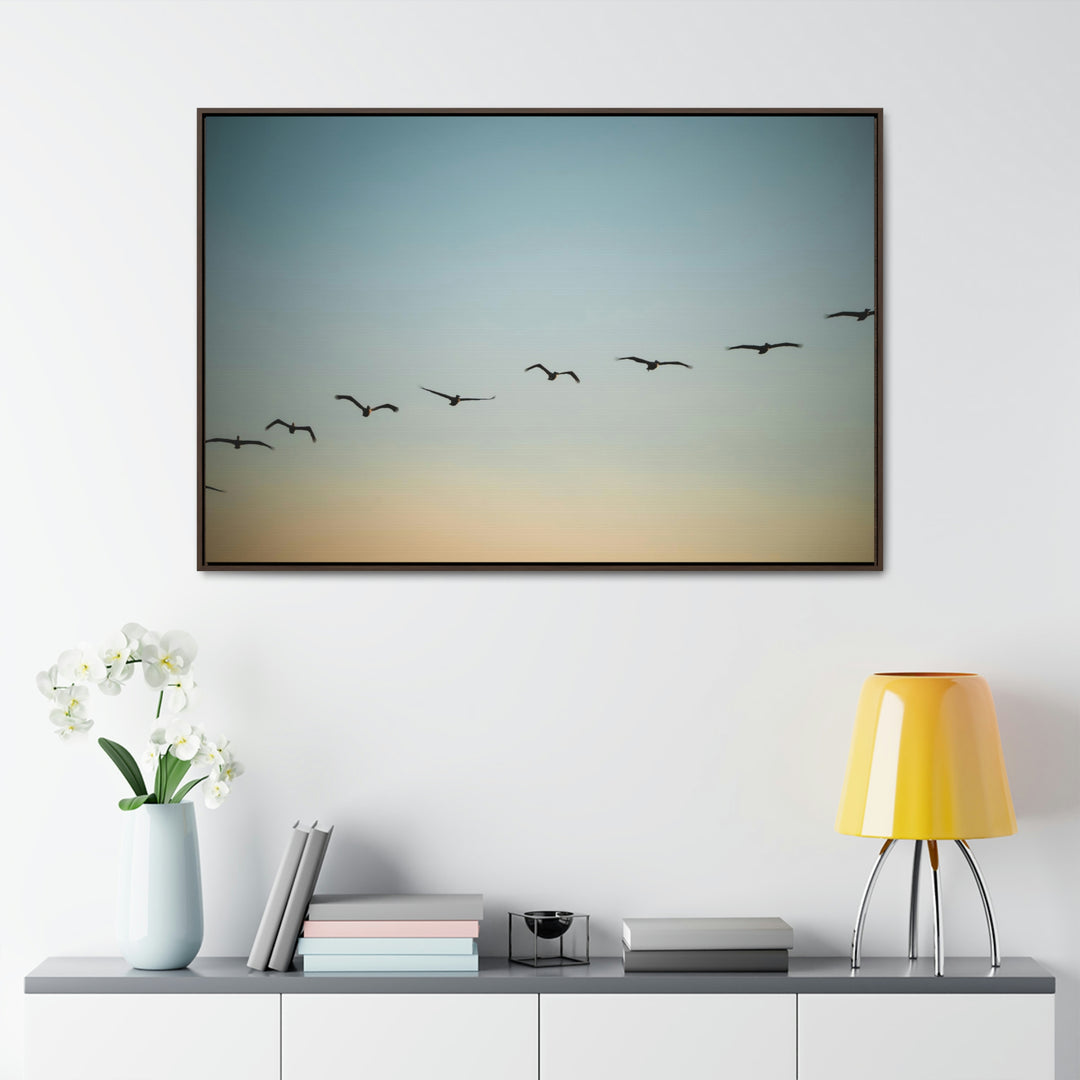 Brown Pelicans in Flight - Canvas with Frame