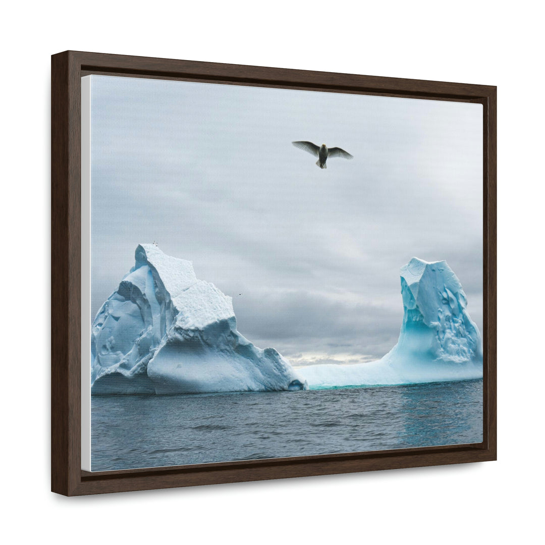 Antarctic Flight - Canvas with Frame