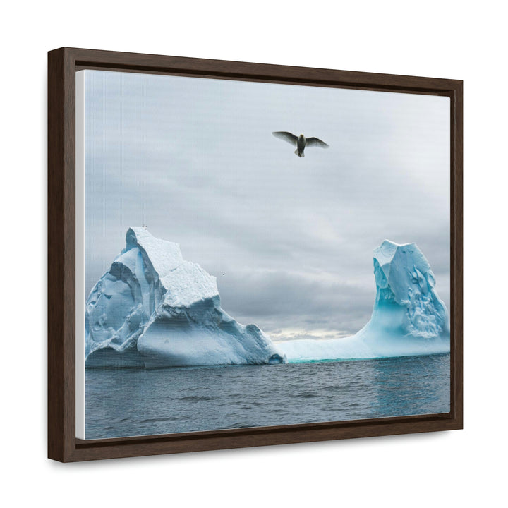 Antarctic Flight - Canvas with Frame