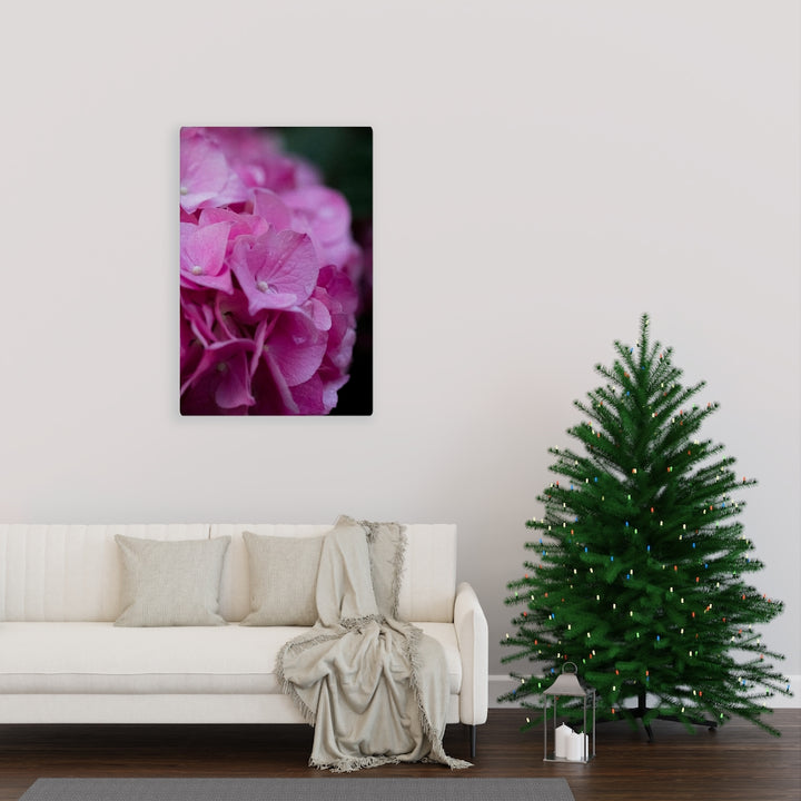 Pink Hydrangea Detail - Canvas