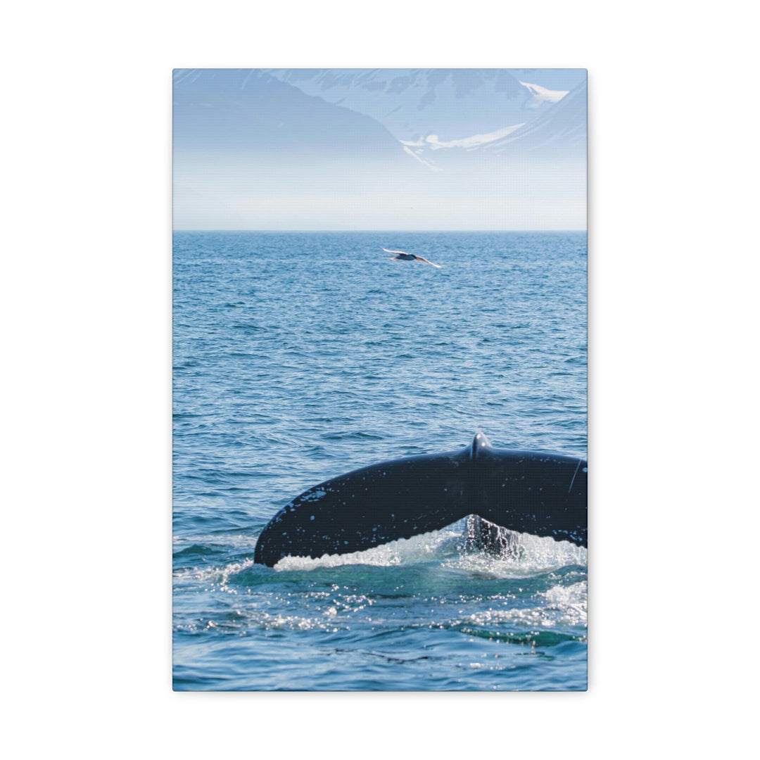 A Whale and A Mountain - Canvas