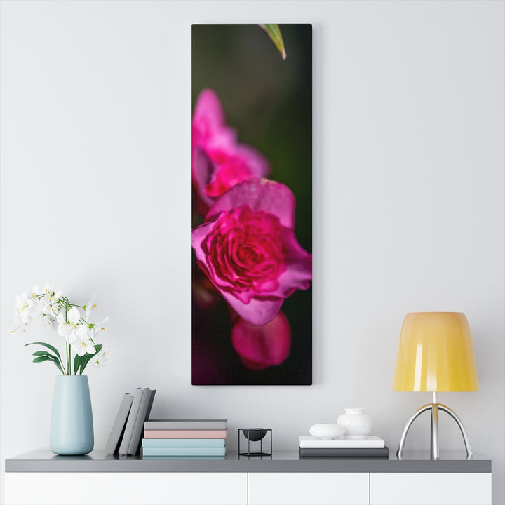 Hybrid Tea Lily - Canvas