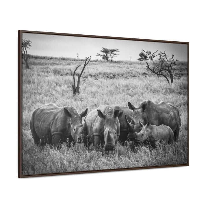 Rhino Family in Black and White - Canvas with Frame