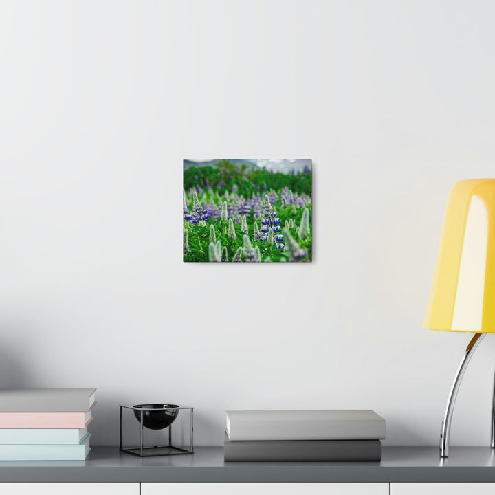 Glowing Lupin with Mountains - Canvas