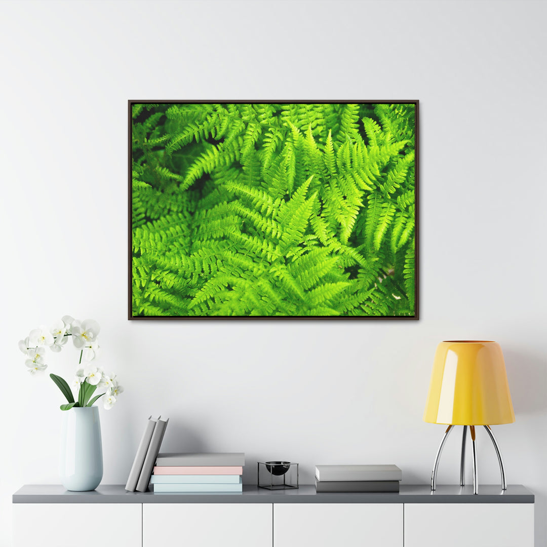 Ferns, Ferns, Ferns - Canvas with Frame