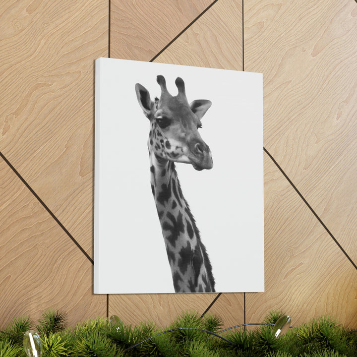 Giraffe Portrait in Black and White  - Canvas