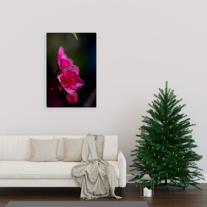 Hybrid Tea Lily - Canvas