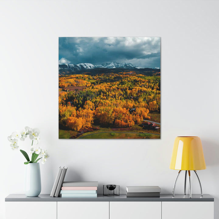 Golds of Autumn - Canvas