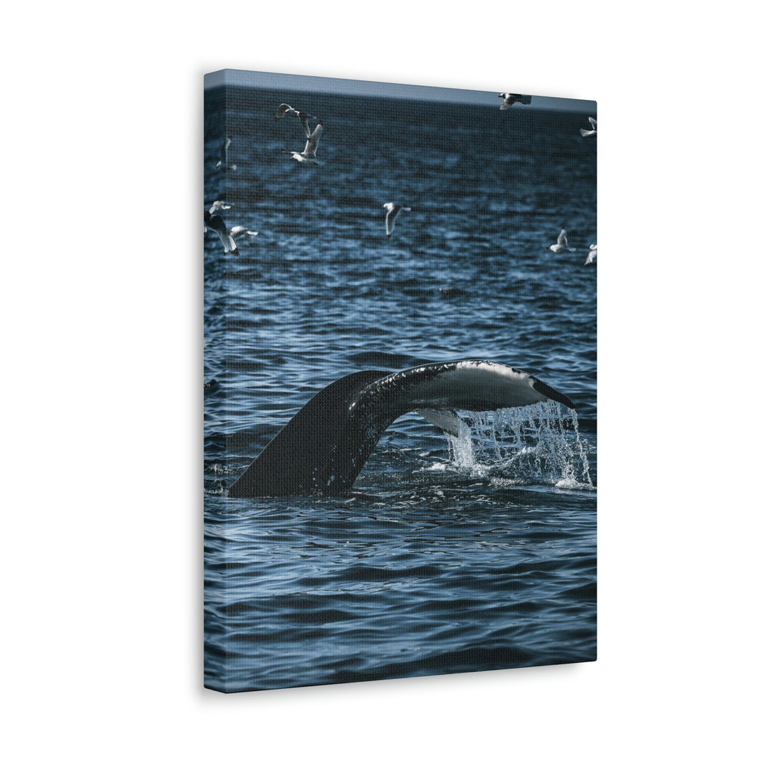 Feeding Tail - Canvas