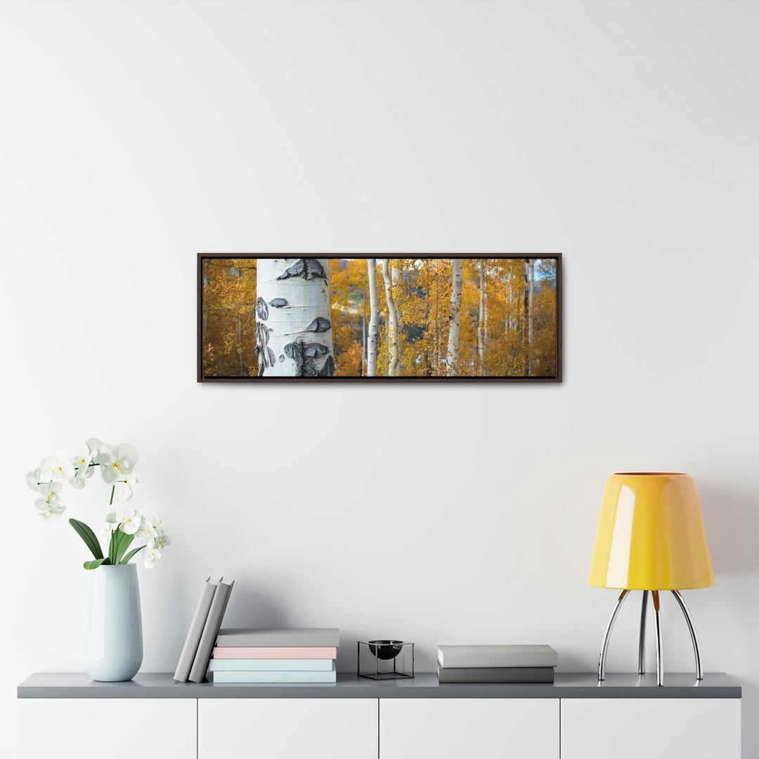 Aspens Changing - Canvas with Frame