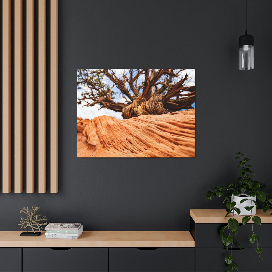 Desert Reach - Canvas