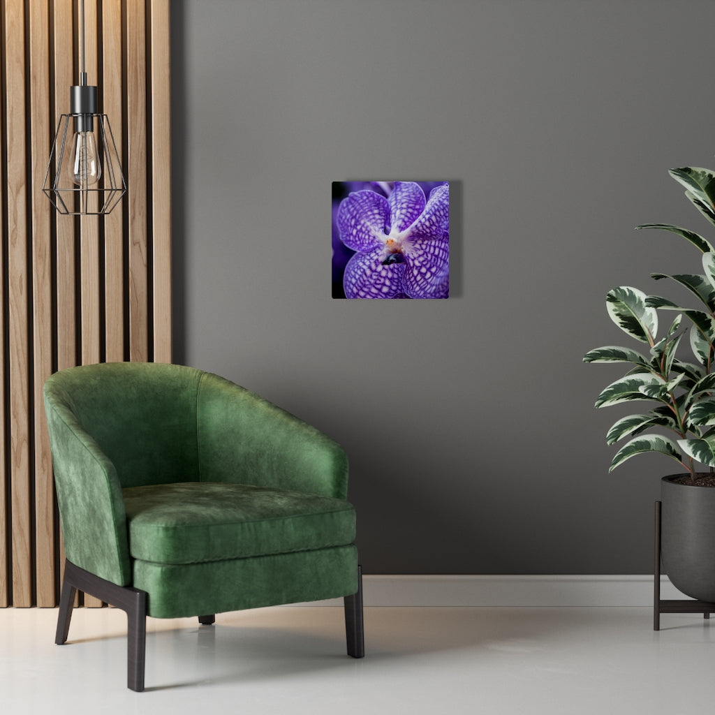 Orchid Detail - Canvas