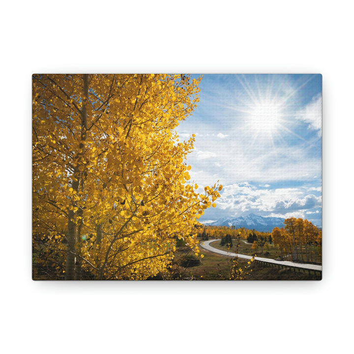 Golden Sunshine - Canvas