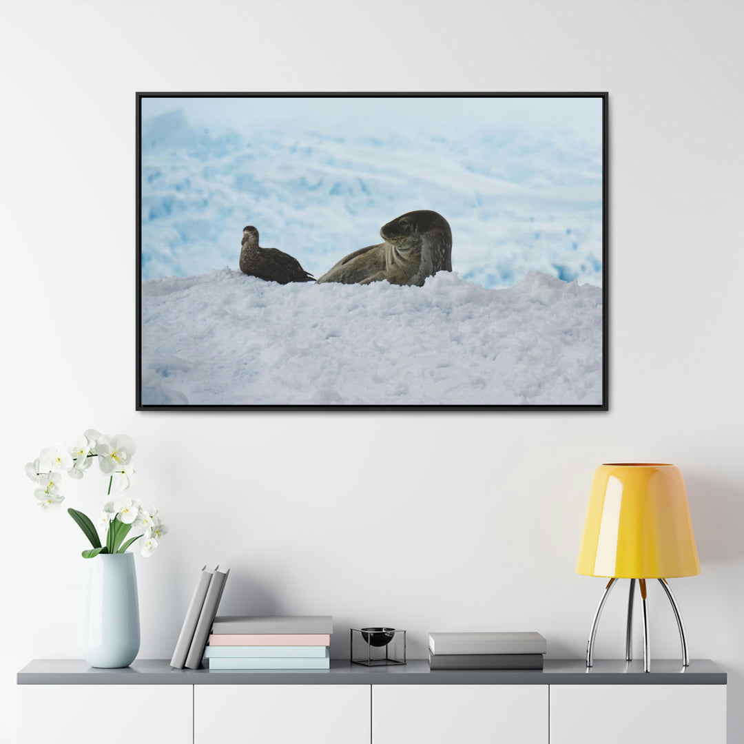 A Resting Pair - Canvas with Frame