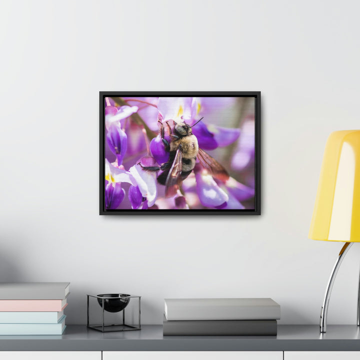 Hungry Visitor - Canvas with Frame