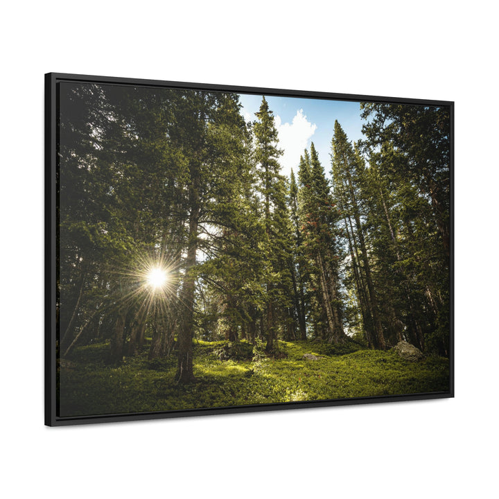 Forest Light - Canvas with Frame