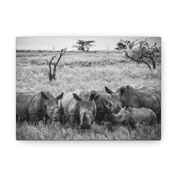 Rhino Family in Black and White - Canvas