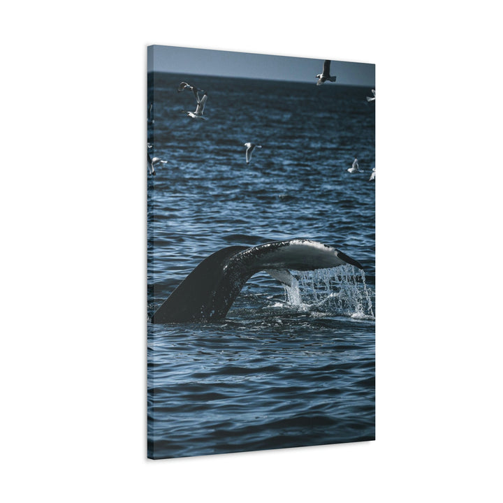 Feeding Tail - Canvas