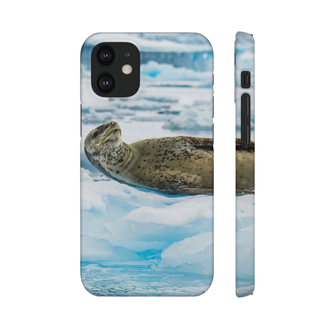 Leopard Seal Relaxing - Phone Case