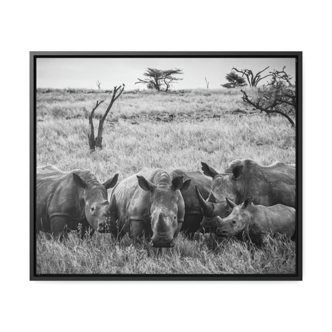 Rhino Family in Black and White - Canvas with Frame