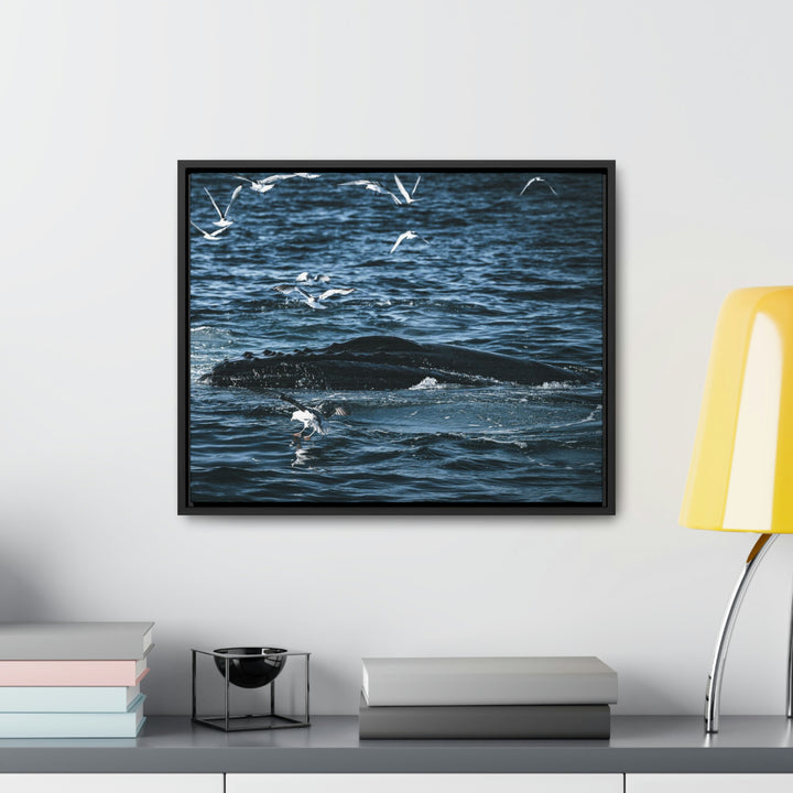 Humpback Hello - Canvas with Frame